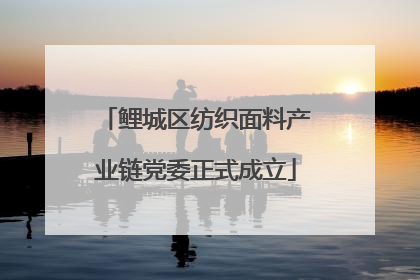 鲤城区纺织面料产业链党委正式成立