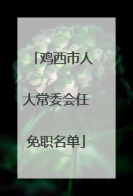 鸡西市人大常委会任免职名单