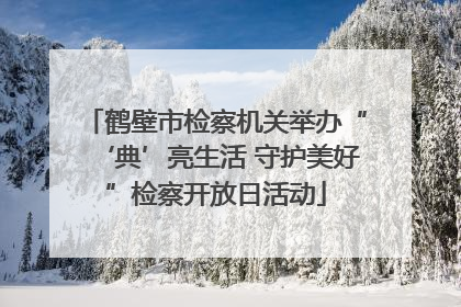 鹤壁市检察机关举办“‘典’亮生活 守护美好”检察开放日活动