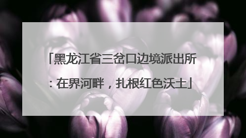 黑龙江省三岔口边境派出所：在界河畔，扎根红色沃土