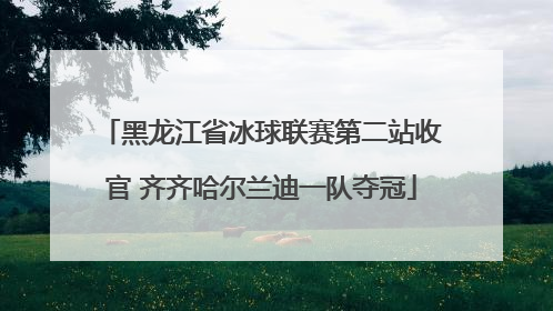 黑龙江省冰球联赛第二站收官 齐齐哈尔兰迪一队夺冠