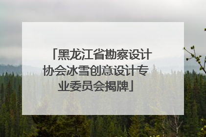 黑龙江省勘察设计协会冰雪创意设计专业委员会揭牌