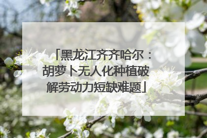 黑龙江齐齐哈尔：胡萝卜无人化种植破解劳动力短缺难题