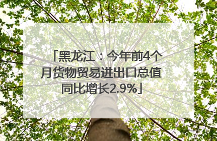 黑龙江：今年前4个月货物贸易进出口总值同比增长2.9%