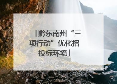 黔东南州“三项行动”优化招投标环境
