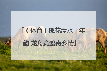 （体育）桃花潭水千年韵 龙舟竞渡寄乡情