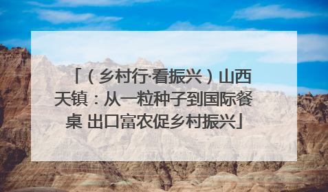 （乡村行·看振兴）山西天镇：从一粒种子到国际餐桌 出口富农促乡村振兴