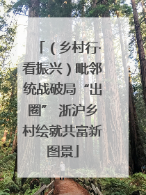 （乡村行·看振兴）毗邻统战破局“出圈” 浙沪乡村绘就共富新图景