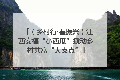 （乡村行·看振兴）江西安福“小西瓜”撬动乡村共富“大支点”