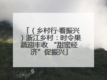 （乡村行·看振兴）浙江乡村：时令果蔬迎丰收 “甜蜜经济”促振兴