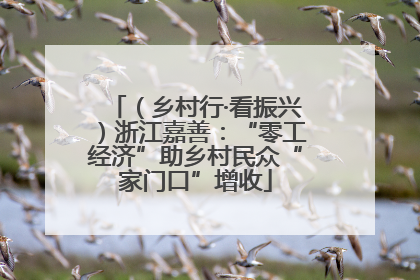 （乡村行·看振兴）浙江嘉善：“零工经济”助乡村民众“家门口”增收