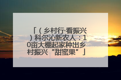 （乡村行·看振兴）科尔沁新农人：10亩大棚起家种出乡村振兴“甜蜜果”