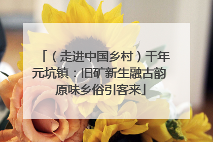 （走进中国乡村）千年元坑镇：旧矿新生融古韵 原味乡俗引客来
