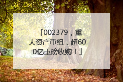 002379，重大资产重组，超600亿重磅收购！