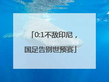 0:1不敌印尼，国足告别世预赛