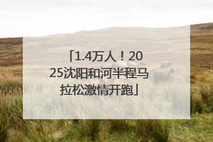 1.4万人！2025沈阳和河半程马拉松激情开跑