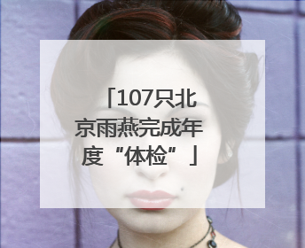 107只北京雨燕完成年度“体检”
