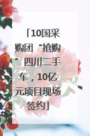 10国采购团“抢购”四川二手车，10亿元项目现场签约