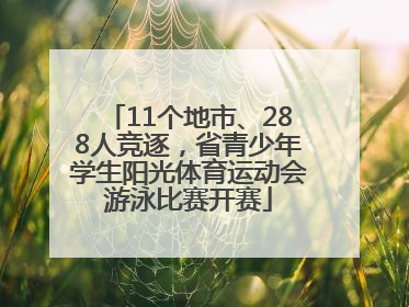 11个地市、288人竞逐，省青少年学生阳光体育运动会游泳比赛开赛