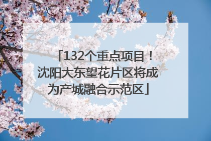 132个重点项目！沈阳大东望花片区将成为产城融合示范区