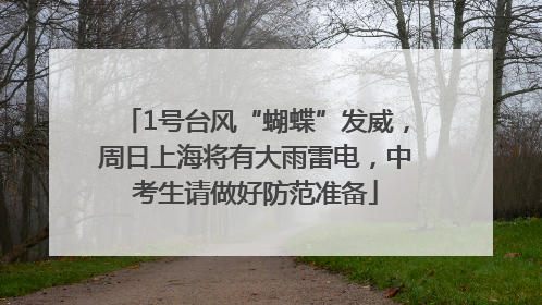 1号台风“蝴蝶”发威，周日上海将有大雨雷电，中考生请做好防范准备