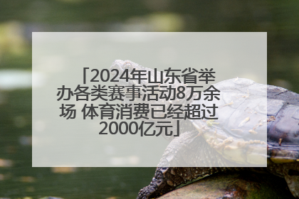 2024年山东省举办各类赛事活动8万余场 体育消费已经超过2000亿元