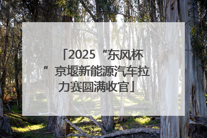 2025“东风杯”京堰新能源汽车拉力赛圆满收官