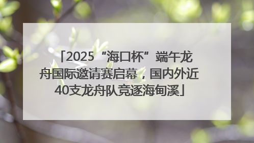 2025“海口杯”端午龙舟国际邀请赛启幕，国内外近40支龙舟队竞逐海甸溪