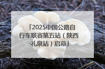 2025中国公路自行车联赛第五站（陕西·礼泉站）启幕