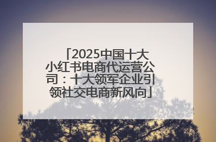 2025中国十大小红书电商代运营公司：十大领军企业引领社交电商新风向