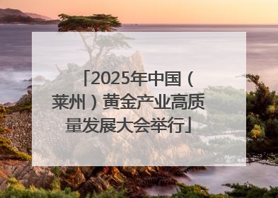 2025年中国（莱州）黄金产业高质量发展大会举行