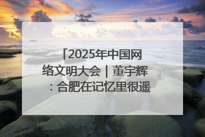 2025年中国网络文明大会｜董宇辉：合肥在记忆里很遥远也很亲切