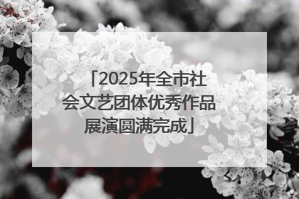2025年全市社会文艺团体优秀作品展演圆满完成