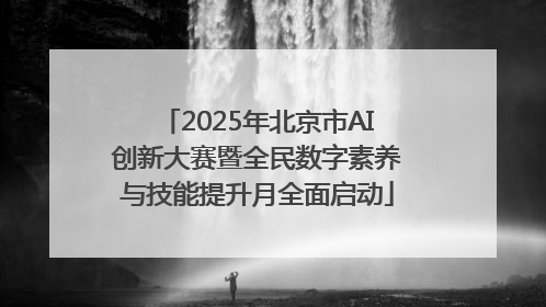 2025年北京市AI创新大赛暨全民数字素养与技能提升月全面启动