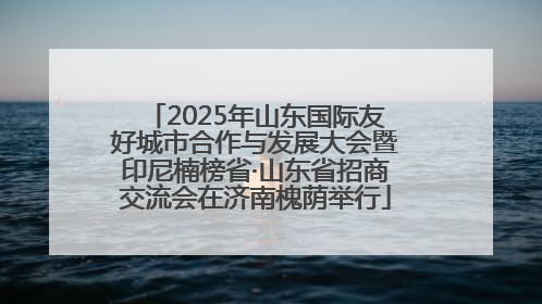 2025年山东国际友好城市合作与发展大会暨印尼楠榜省·山东省招商交流会在济南槐荫举行