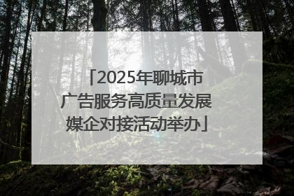 2025年聊城市广告服务高质量发展媒企对接活动举办