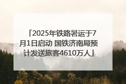 2025年铁路暑运于7月1日启动 国铁济南局预计发送旅客4610万人