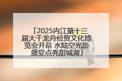 2025内江第十三届大千龙舟经贸文化博览会开幕 水陆空光影盛宴点亮甜城湖
