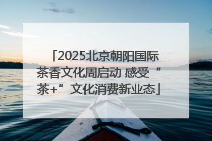2025北京朝阳国际茶香文化周启动 感受“茶+”文化消费新业态