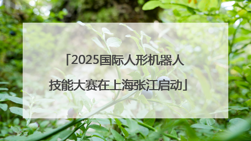 2025国际人形机器人技能大赛在上海张江启动