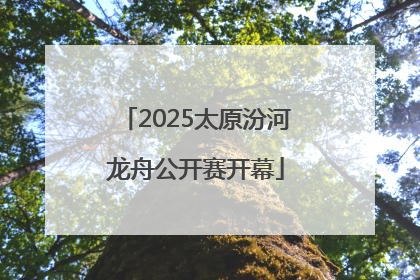 2025太原汾河龙舟公开赛开幕