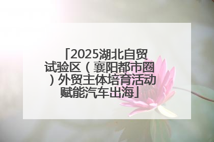 2025湖北自贸试验区（襄阳都市圈）外贸主体培育活动赋能汽车出海