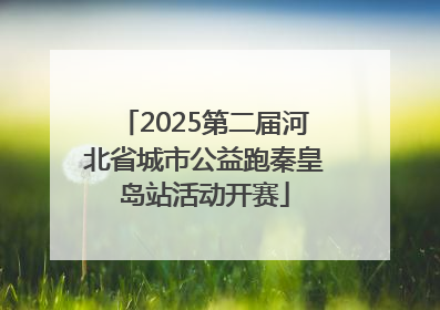 2025第二届河北省城市公益跑秦皇岛站活动开赛