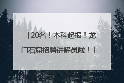 20名！本科起报！龙门石窟招聘讲解员啦！