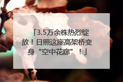 3.5万余株热烈绽放！日照这座高架桥变身“空中花廊”！