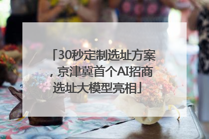 30秒定制选址方案，京津冀首个AI招商选址大模型亮相