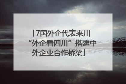 7国外企代表来川 “外企看四川”搭建中外企业合作桥梁