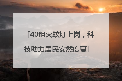 40组灭蚊灯上岗，科技助力居民安然度夏