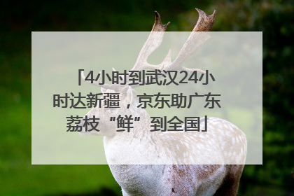 4小时到武汉24小时达新疆，京东助广东荔枝“鲜”到全国