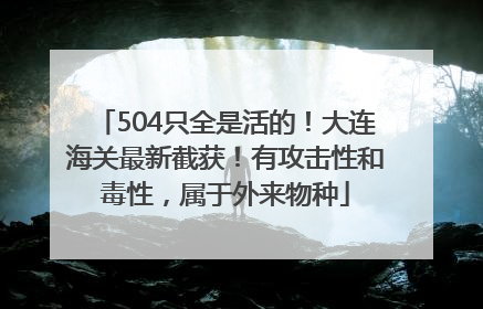 504只全是活的！大连海关最新截获！有攻击性和毒性，属于外来物种
